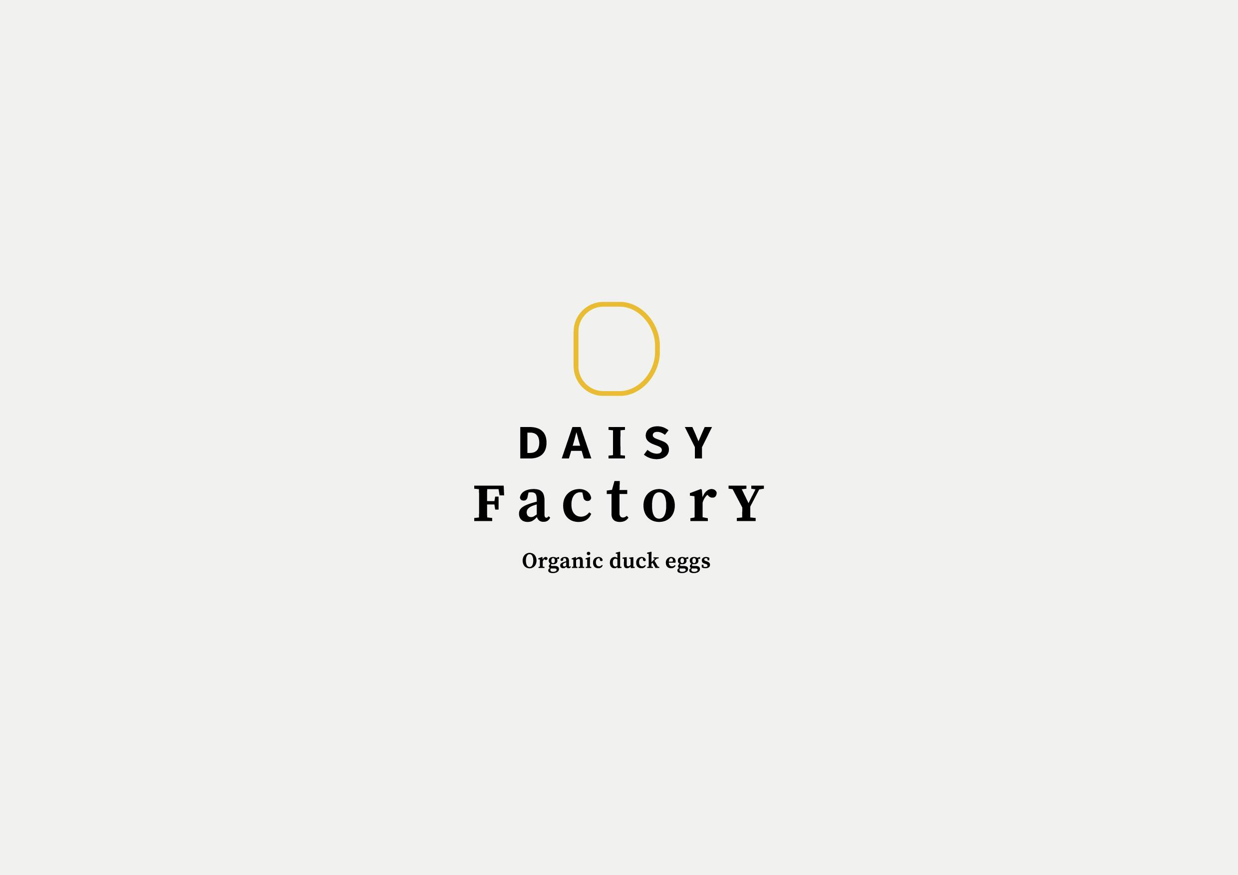w--daisy-factory--01