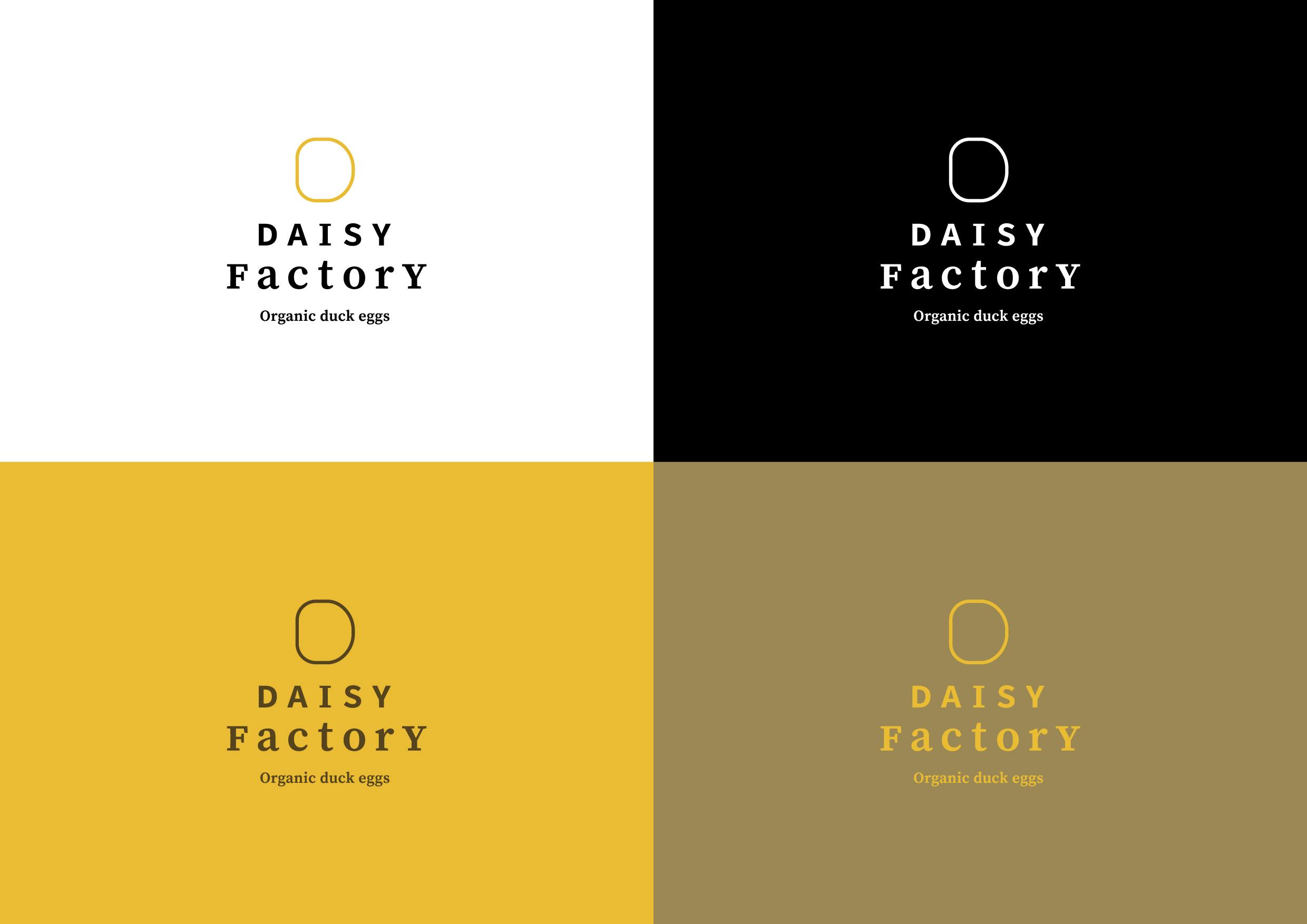 w--daisy-factory--02